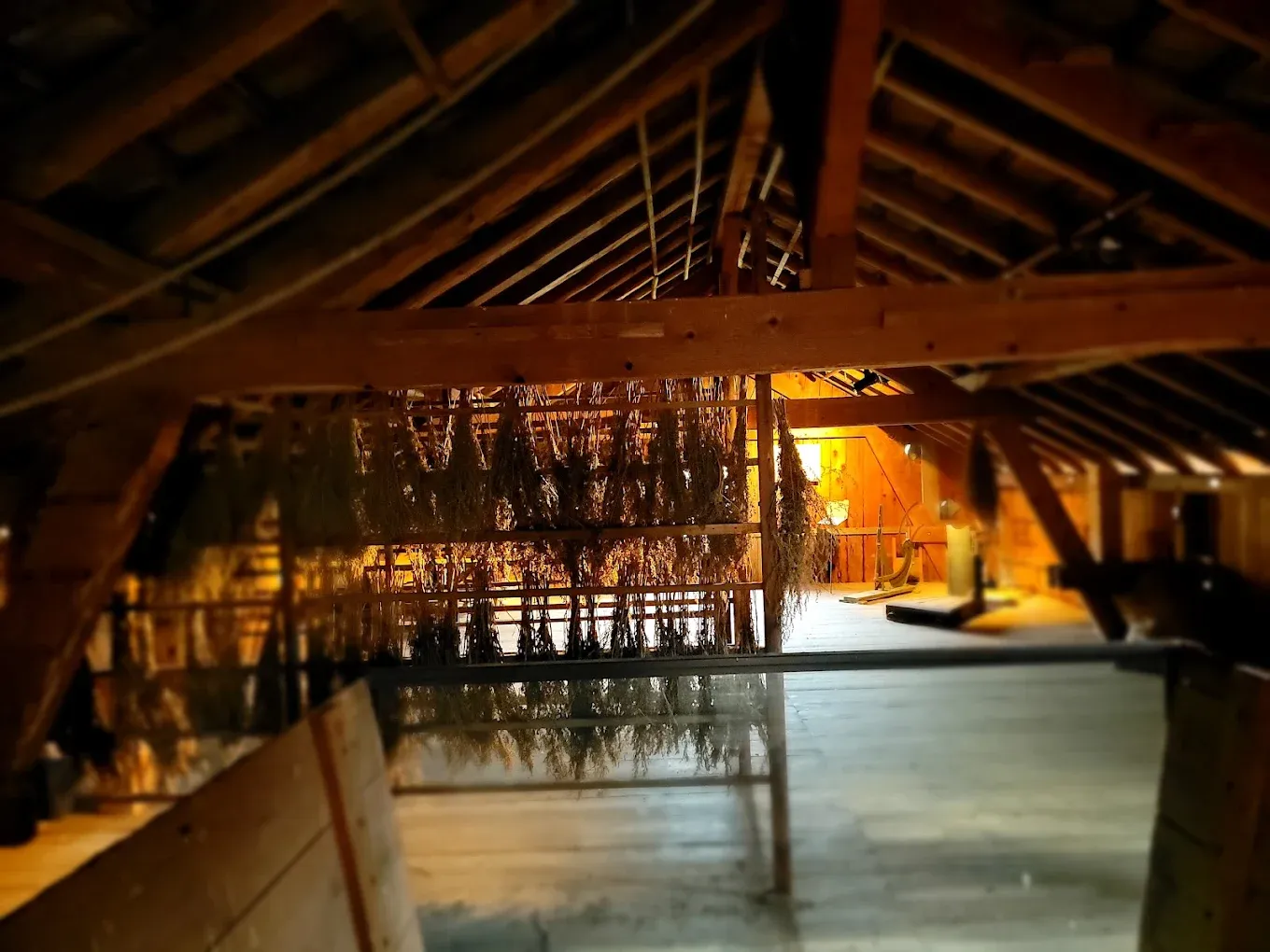 Distillerie La Môtisanne