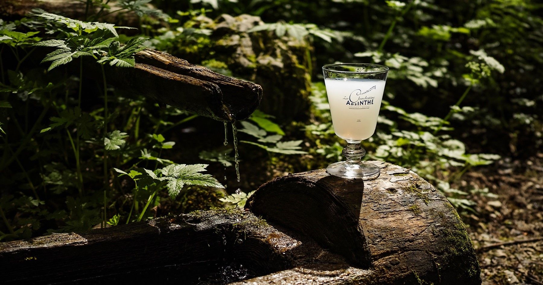 Distillerie Artemisia