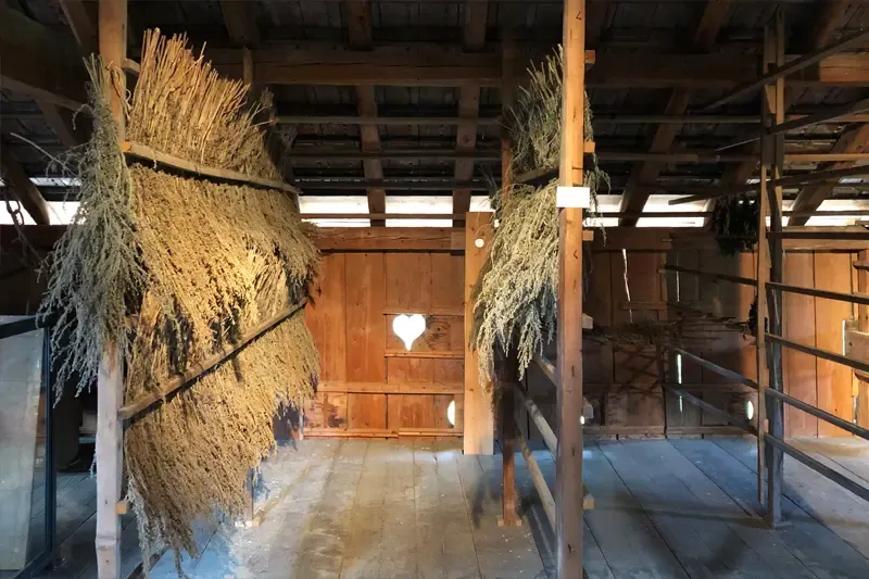 Related photo 1 of Absinthe Drying House
